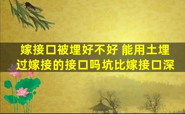 嫁接口被埋好不好 能用土埋过嫁接的接口吗坑比嫁接口深